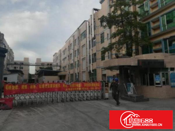 平湖科技园独院厂房整栋四层14240平可分租