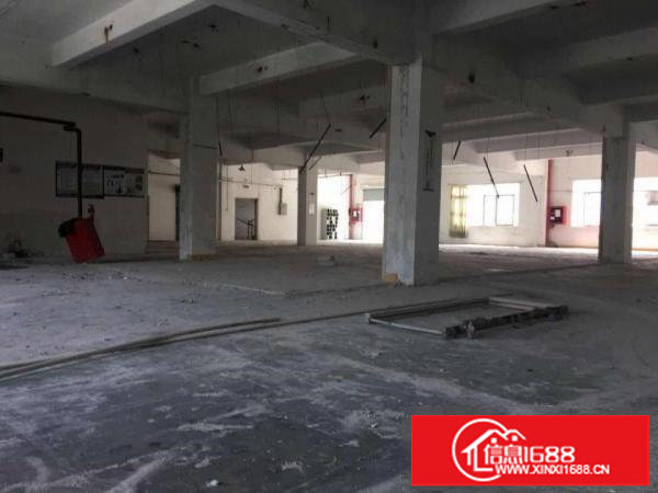 坪山新区坑梓大工业区1000平标准厂房大货梯可分租