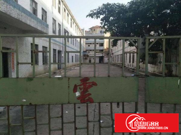 龙岗龙西独院3960平米厂房招租