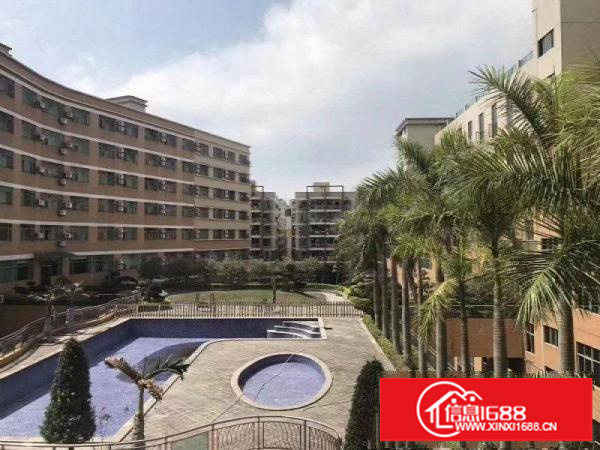 坂田.坂雪岗科技城健身房培训行业有泳池