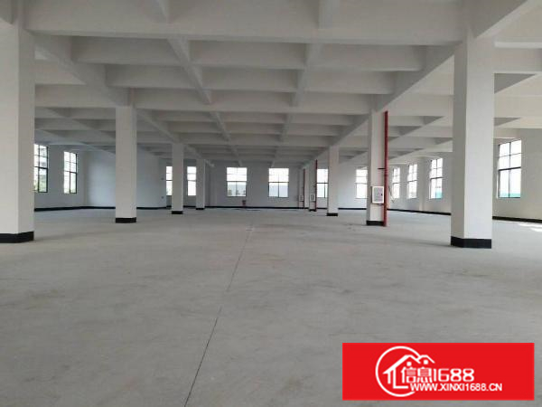 里水全新独门独院楼层厂房出租