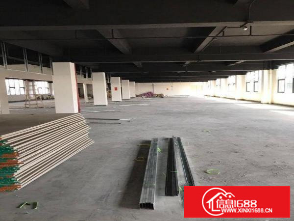 高层观山半层750平、电商园写字楼仓库招租