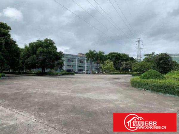 桥头镇靠近东深路新出原房东超大空地独院标准厂房5200平租