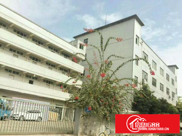 观澜环观中路横坑轻轨4层独院厂房出租