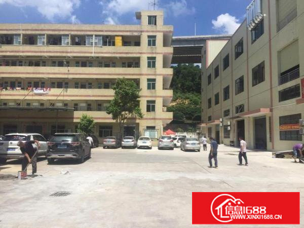 可做氧化，酸洗，碱洗等排水正规厂房2000平证件齐全大小分租