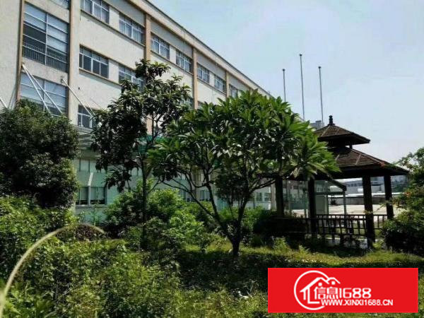 （可做污染）横沥镇山厦四海工业区原房东厂房590平招租