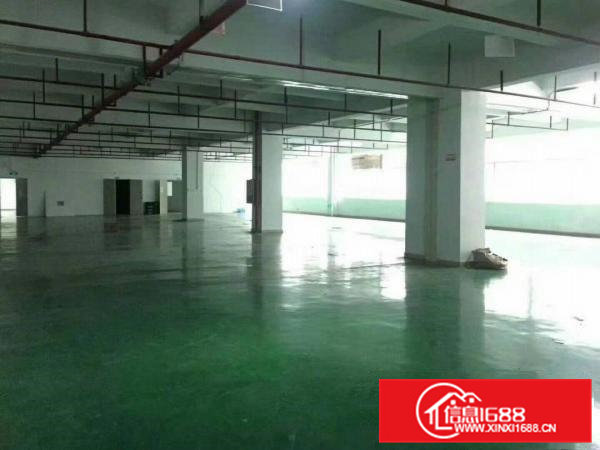 凤岗油甘埔带装修12000平方厂房出租（可分租）