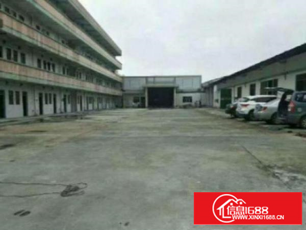 万江独栋单一层钢构厂房出租2300平方出租