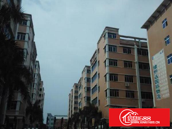 丹竹头附近早禾坑宇翔工业园正规厂房仓库适合电商、服装厂等