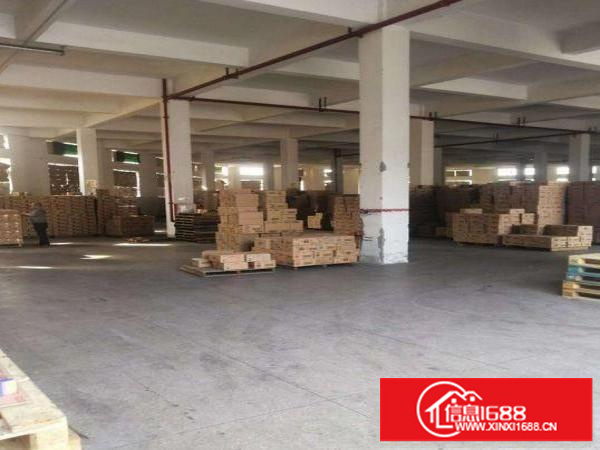 平湖新出7米高标准一楼独院700平起分租，空地5千平免费用