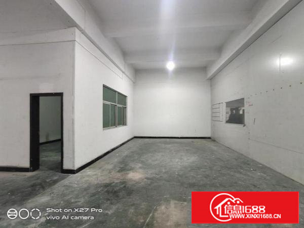 塘厦龙背岭新出标准一楼1200平方带牛角现成办公室低价