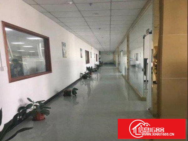 龙岗区横岗楼上高端厂房300平方带装修出租，无需转让费