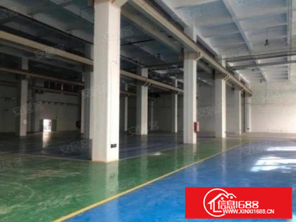 滴水9米！坪山高薪重工业厂房3200平出租现成装修水电有补贴