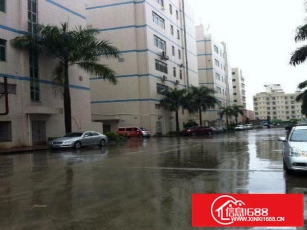 民乐科技园新出4楼800平带装修厂房招租