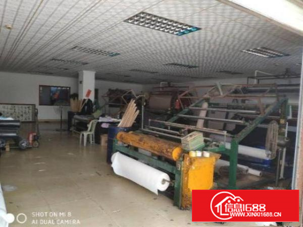 茶山茶溪社区560平方一楼带装修办公室厂房出租