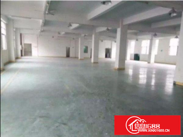 横岗四联路标准厂房一楼2100平方无公摊厂房出租水电齐全