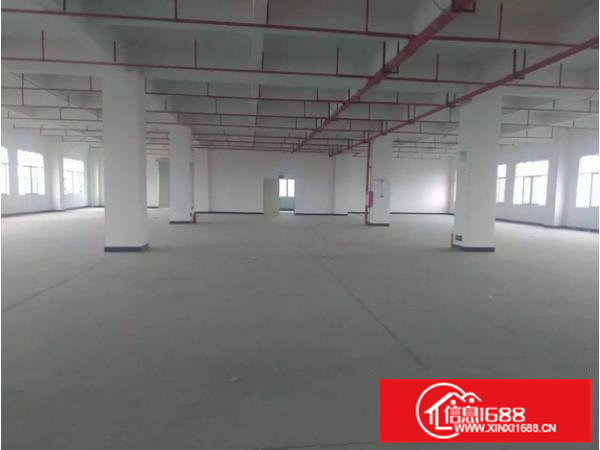 横沥水边标准独院厂房3800平水电齐全招工易形象好