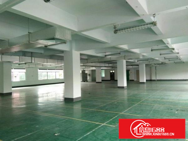 潼侨工业园公司自建独院标准厂房5400平对外招租