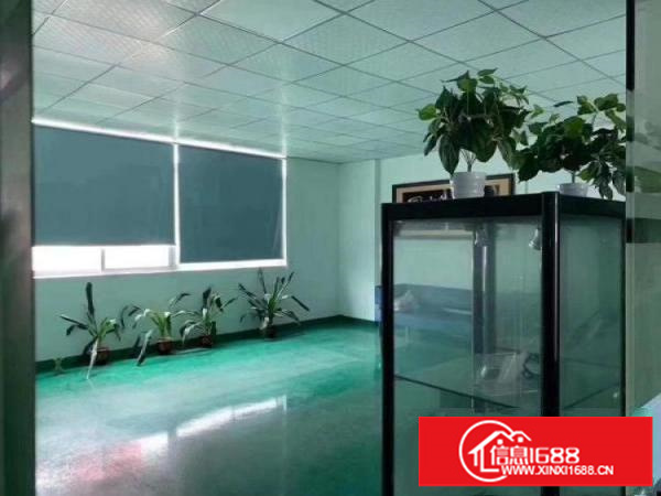 横岗四联新出楼上1300平，16元全包，办公室水电齐全