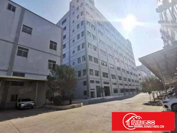 大朗新出原房东标准厂房1000平方交通便利可办环评