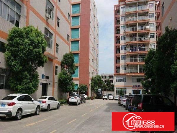 （出租）博罗柏塘大路边一楼1000平厂房出租