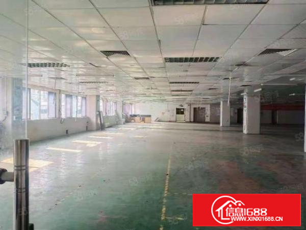 长安镇厦岗社区房东直租标准独院3580平空地大，交通方便