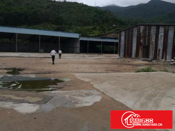 东莞清溪废品打包破碎单一层钢结构厂房出租3500平