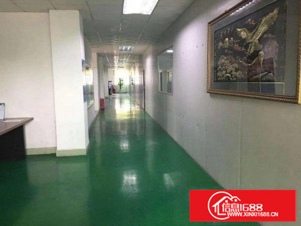 新出办公室装修，水电齐全，带现成拉线，拎包入驻。1