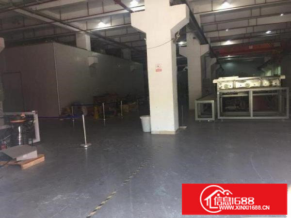 出租!坑梓花园式厂房莹展科技园A2栋.一二楼共5500平招租