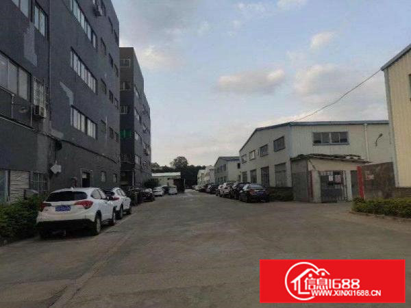 清溪三中新空出原房东独院钢构厂房2700平，水电齐全可分租