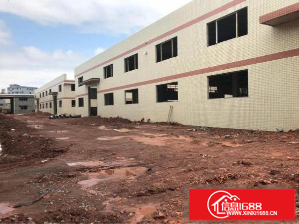 清溪三中原房东全新钢构18500平方