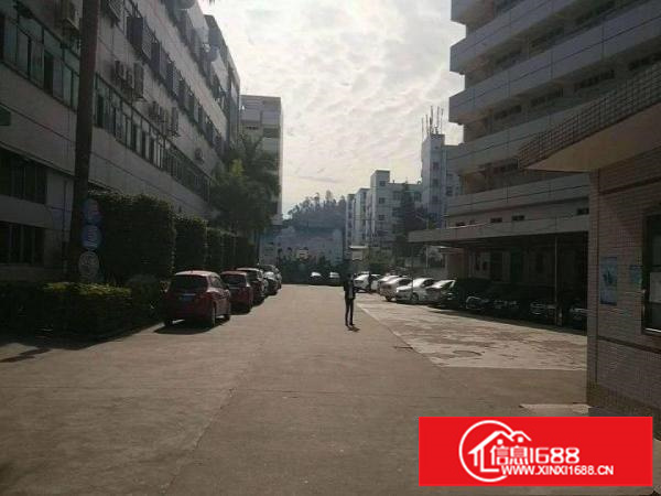 横岗荷坳地铁站带豪华办公室装修2500平方米招租