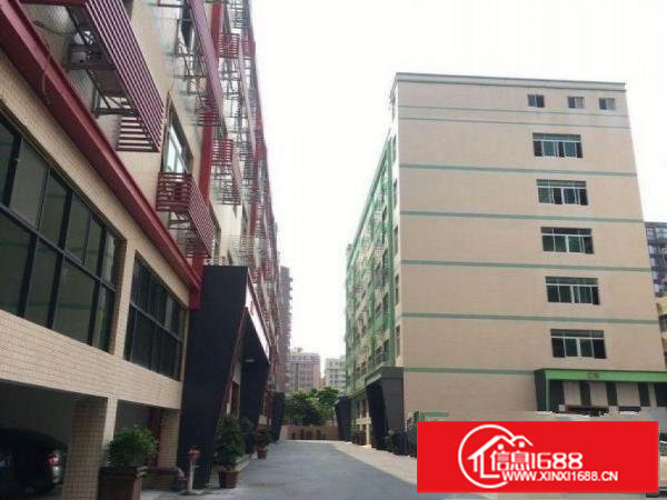 横岗旱塘村大型工业园区1500平方厂房出租适合电子