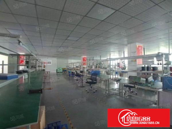 商业中心精装修3500平米，可分租，1000平米起租