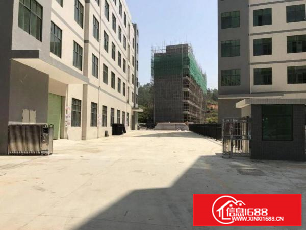 惠州新圩长布有独栋厂房出租！