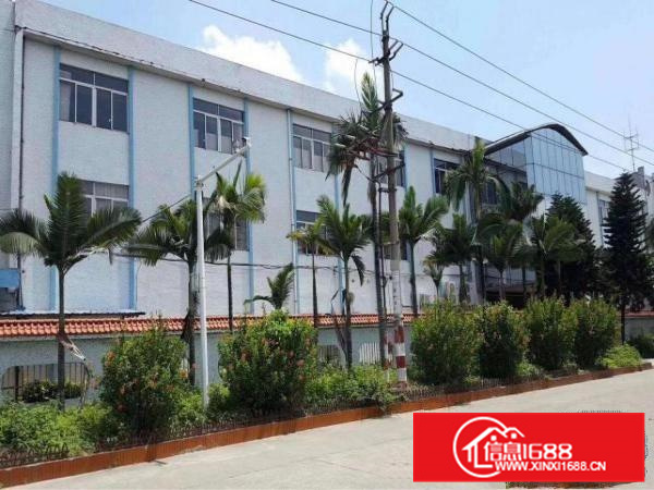 惠州潼桥花园式独院标准厂房6600平，电315千瓦