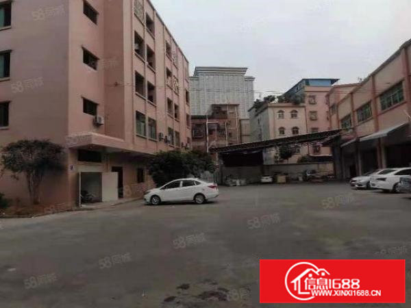 横沥新出独门独院1500平方，水电齐全精装修交通便利