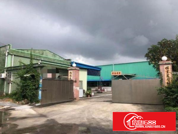 亮盘好厂房出租独院单一层