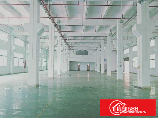 可办环评，配电大，容桂园区一楼1500方带吊机