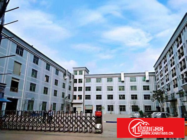 横岗安良新出楼上300平厂房出租，带电梯，有办公室