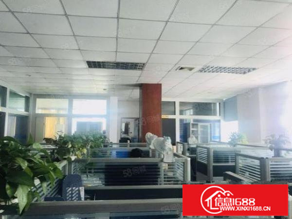 观澜碧澜路厂房出租700平带装修不要转让费