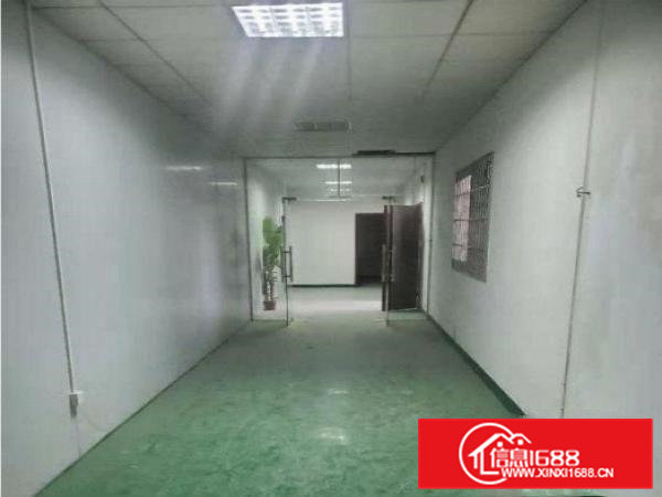 大岭山新出标准厂房三楼800平方出租，有精装修办公室