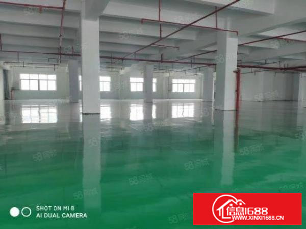 急租，横沥原房东食品环坪6000平方厂房出租500平方起分租