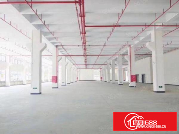 新出原房东静盘，价格实惠