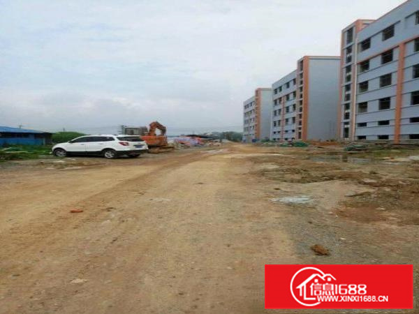 新圩高速附近原房东物业23000平方米招租(带牛角