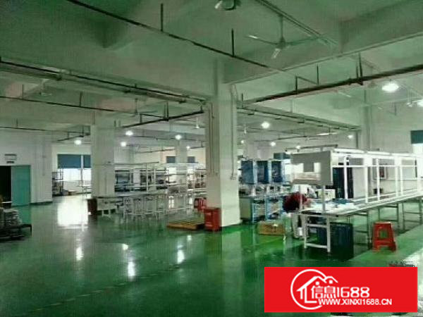 坪山新出4万平米原房东红本独院厂房招租