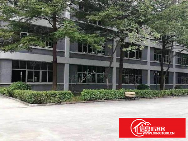 万江新出标准一楼1000平方带地坪漆，有办公室