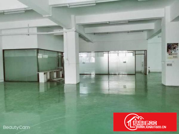 工业园区整层无尘车间500平米