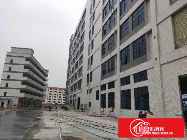 大岭山全新标准厂房独院50000平方，