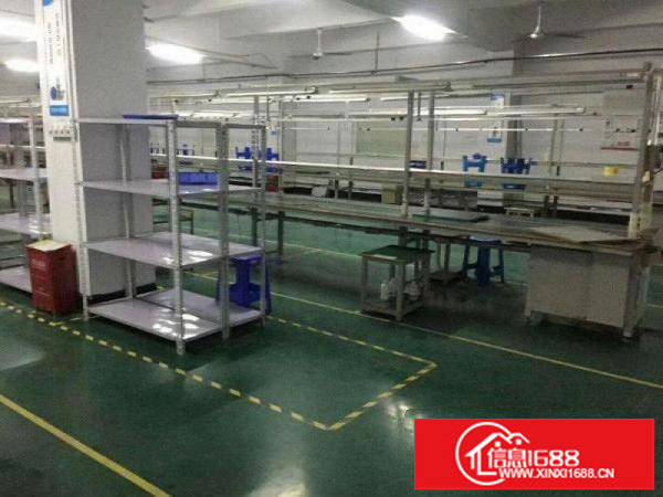 龙岗横岗西坑原房东独院带装修1300平米厂房出租